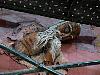 DSC00056.JPG